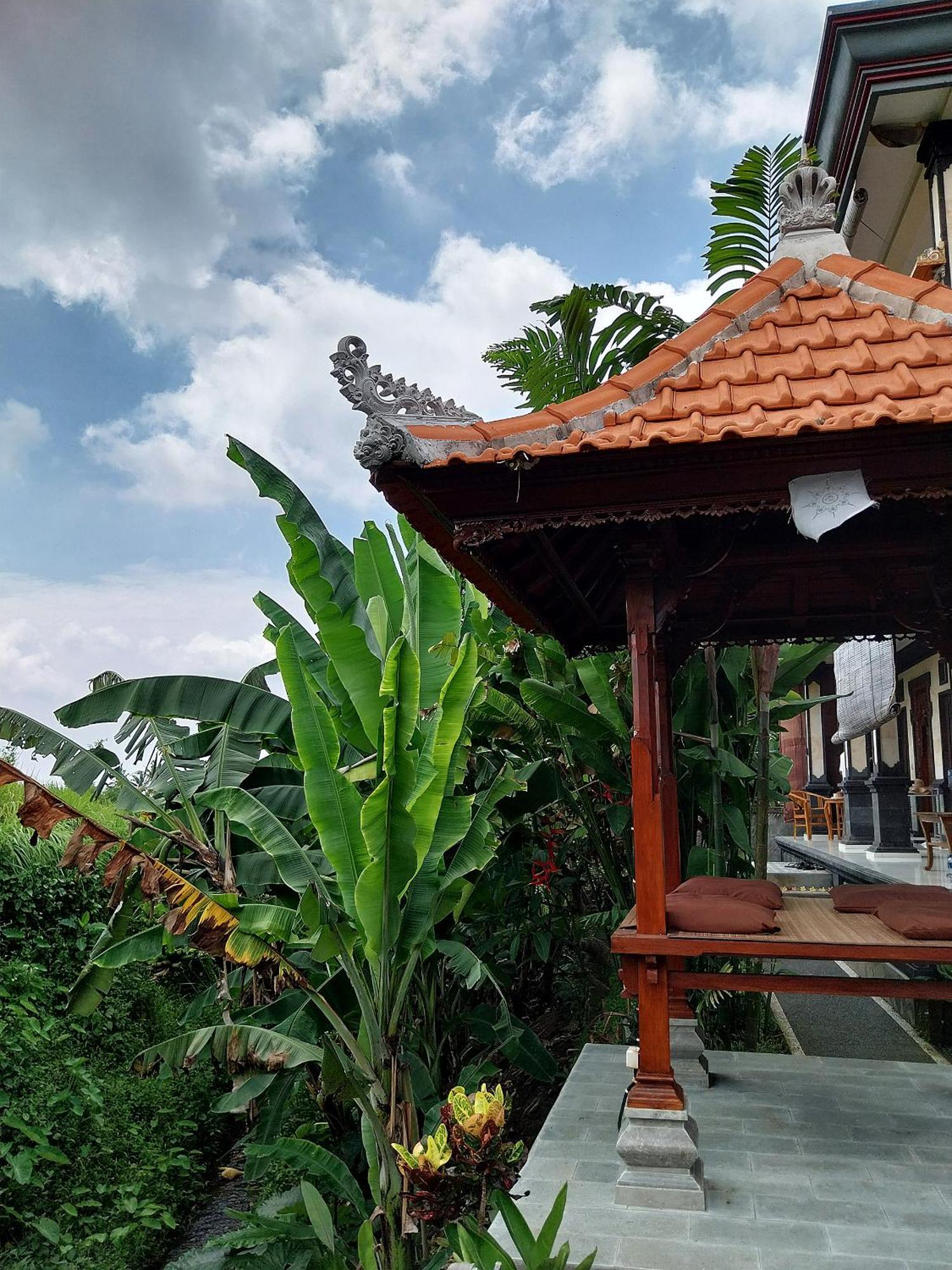 Puri Prana Guest House Ubud Exteriér fotografie