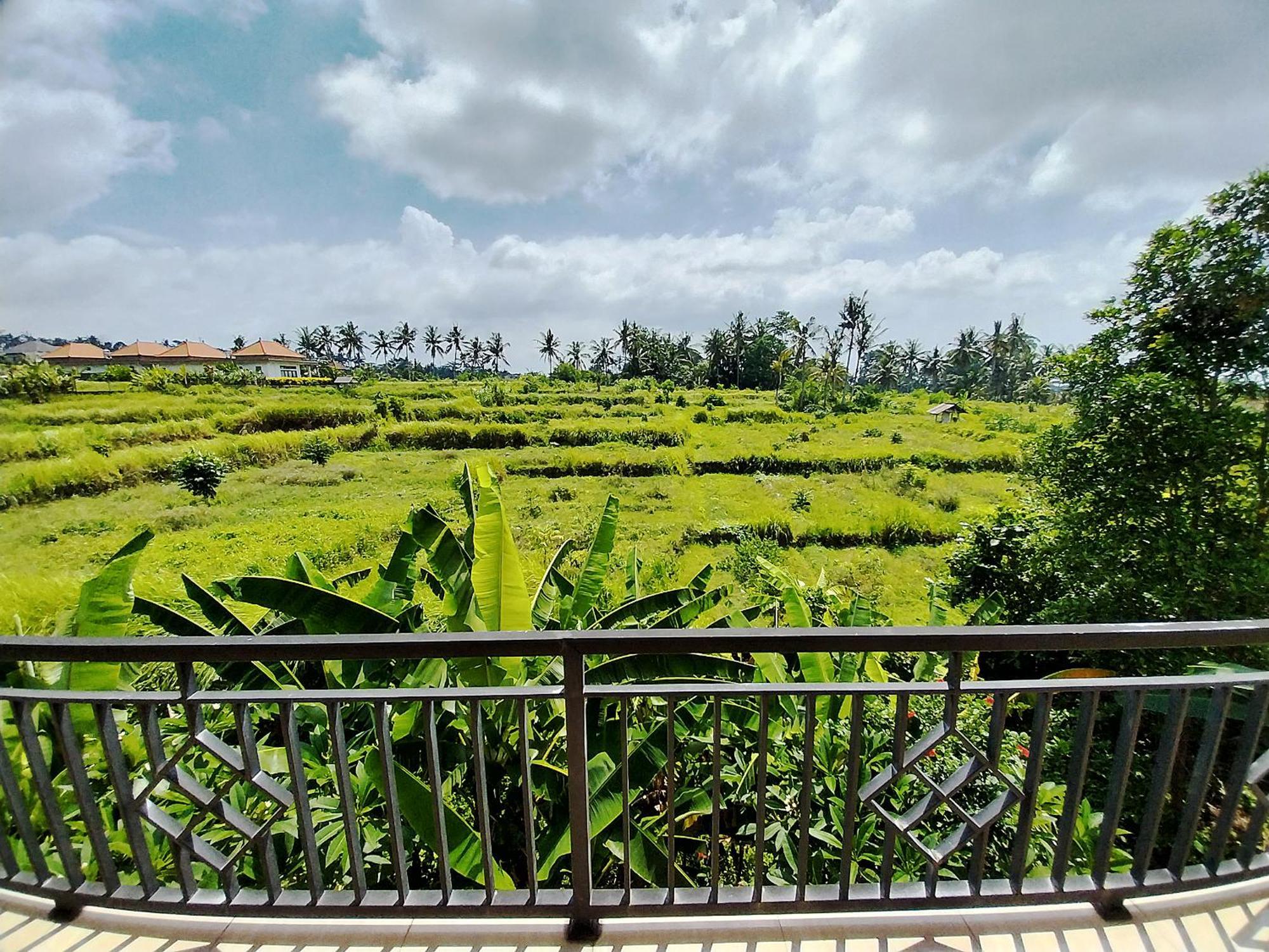 Puri Prana Guest House Ubud Exteriér fotografie